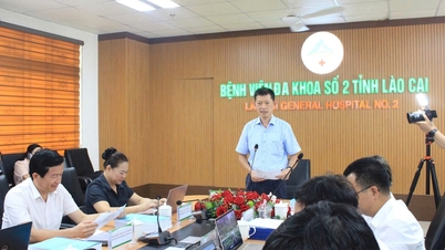Bộ Y tế thẩm định danh mục kỹ thuật loại đặc biệt tại tỉnh Lào Cai