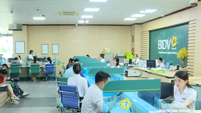 Số hóa để kiểm soát rủi ro tín dụng