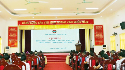 A Associação Provincial de Agricultores organizou um curso de capacitação sobre produção agrícola de alta tecnologia ao longo da cadeia de valor.