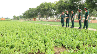 Quân đoàn 12 khai mạc hội thi “Tăng gia sản xuất, chế biến tập trung”