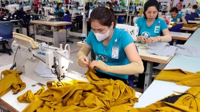In pursuit of double-digit growth, the textile and garment industry hopes for a boost.
