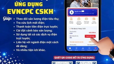 Folk i Da Nang overvåger deres daglige elforbrug for at justere deres vaner.