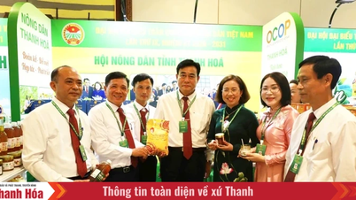 Plus de 80 produits typiques de Thanh Hoa ont été présentés lors du Congrès national de l'Association des agriculteurs du Vietnam.