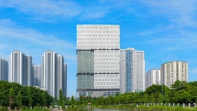 ROX Tower was snel volgeboekt omdat het perfect aansloot op de marktvraag.