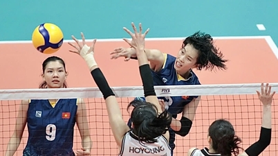 Live-udsendelse af kvindernes volleyballkamp mellem Vietnam og Indonesien kl. 17.00 i dag, den 8. juni.