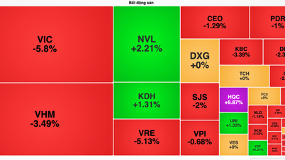 Blue-chip real estate stocks were sold off, causing the VN-Index to fall nearly 50 points.
