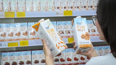 TH true TEA unsweetened tea: Extending the pioneering journey of healthy nutrition.