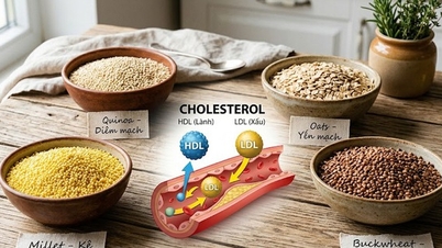 7 types of whole grains that help improve cholesterol.