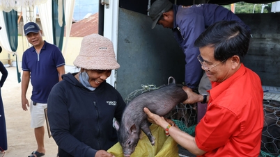 Hội Chữ thập đỏ Lâm Đồng tiếp sức người dân phục hồi sinh kế sau thiên tai