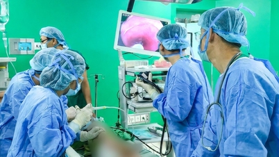 Nuốt khuyên tai sắc nhọn do mẹ để quên, bé gái 11 tháng tuổi phải nội soi