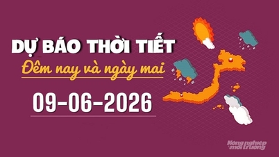 कल, 9 जून 2026 के लिए नवीनतम मौसम पूर्वानुमान