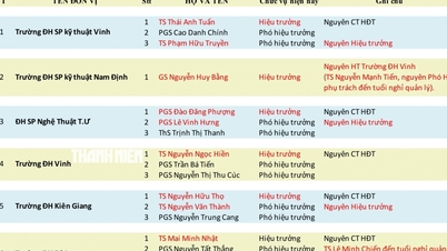 12 trường thuộc Bộ GD-ĐT đổi vai lãnh đạo sau 'nhất thể hóa'