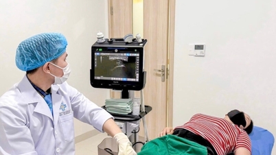 Regeneratív medicina alkalmazása csont- és ízületi betegségek kezelésében és sebkezelésben.