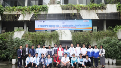 वियतनामी छात्रों ने 2026 एशिया-प्रशांत गणितीय ओलंपियाड में शानदार सफलता हासिल की।