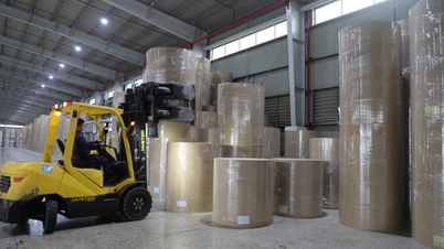 Công nghệ sinh học: Động lực xanh hóa ngành công nghiệp giấy