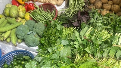 Los precios de las verduras y el tofu están aumentando durante la temporada de calor.
