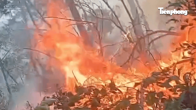 প্রচণ্ড দাবদাহের মধ্যে দাবানল মোকাবিলায় শত শত মানুষ পাহাড়ে আরোহণ করেছেন।