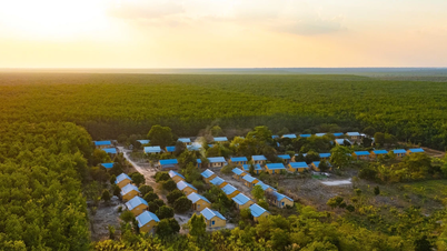 Grupul Vietnam Rubber Industry își atinge obiectivul de creștere de două cifre.