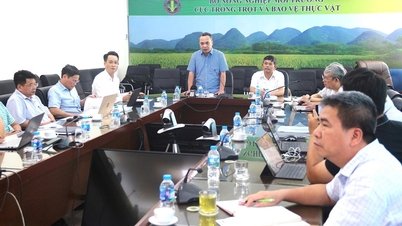 Empat prosedur didesentralisasi, dan 11 prosedur administratif di bidang produksi tanaman dihilangkan.