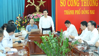 The Import-Export Department is working with Dong Nai city on the development of the logistics industry.