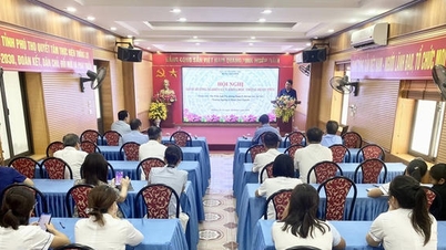 Phu Tho Provincial Lung Hospital's focus on scientific research: A foundation for improving the quality of treatment and patient care.