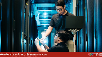 Tập dữ liệu AI tiếng Việt lọt top 15 thịnh hành toàn cầu