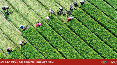 Đặt mục tiêu có 5.000 doanh nghiệp nông nghiệp vào năm 2030