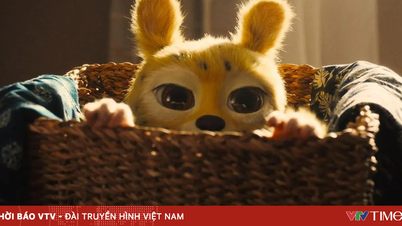 ហេតុអ្វីបានជា Marsupilami ក្លាយជា «រូបតំណាងកុមារភាព» សម្រាប់ទស្សនិកជនវៀតណាមជំនាន់ៗ?