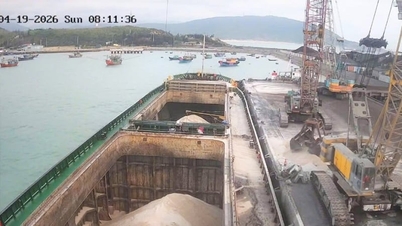 Dari transportasi maritim hingga ekosistem layanan maritim yang komprehensif.