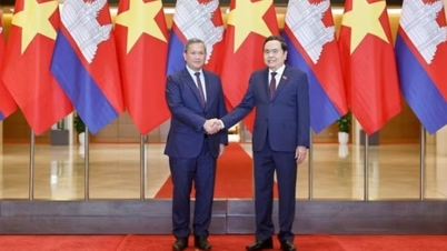 Vietnam og Cambodja styrker deres tætte og effektive koordinering i bekæmpelsen af ​​grænseoverskridende kriminalitet.