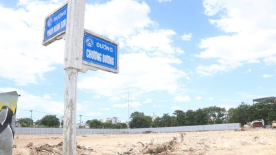 Da Nang: Lelongan berjaya diselesaikan untuk plot tanah utama yang bertujuan untuk kompleks bunga api antarabangsa.