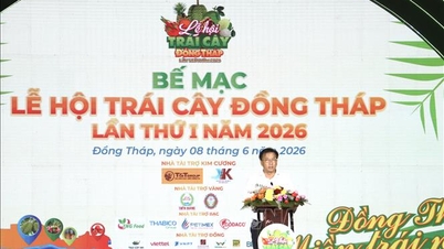 Lễ hội trái cây Đồng Tháp hút nửa triệu lượt khách, doanh thu 4,5 tỷ đồng