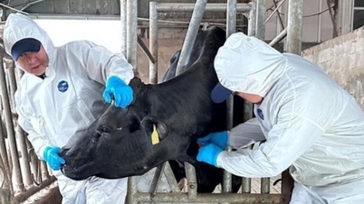 Avertissement : L’utilisation d’antibiotiques dans l’élevage pourrait augmenter de 30 % d’ici 2040.