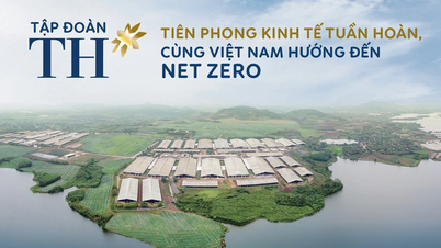 Thai Huong's TH Group wants to sell 30% of its shares for $1 billion?