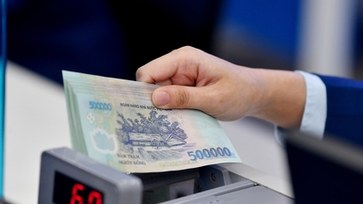 本日（6月9日）の銀行金利：BIDVは預金金利を最大0.8％引き下げるという予想外の発表を行った。