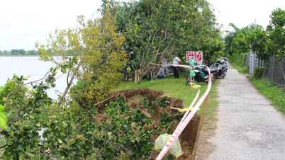 A state of emergency will be declared due to landslides along the Hau River embankment.