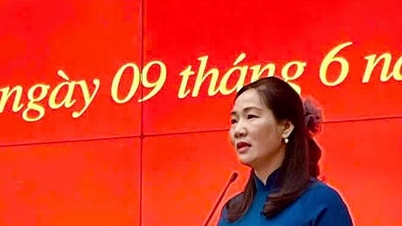 Fru Nguyen Thi Hanh er leder af afdelingen for propaganda og massemobilisering i Quang Ninhs provinspartikomité.