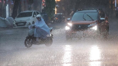 Vietnam Utara, provinsi Thanh Hoa, dan Nghe An secara proaktif menanggapi curah hujan lebat yang meluas.