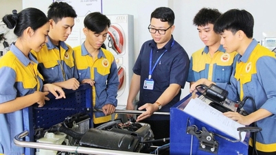 Proposal to establish a unified training regulation for the entire vocational education system.