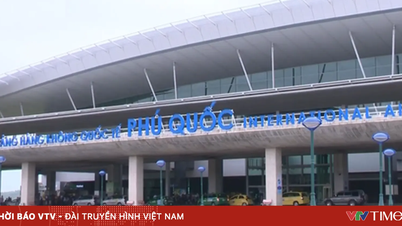 Înființarea unui consiliu pentru evaluarea planificării aeroportului Phu Quoc.