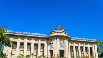 Struktur organisasi baru Bank Negara Vietnam mulai 1 Juli 2026.