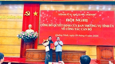 Der stellvertretende Vorsitzende der Provinz Quang Ninh wurde zum Leiter der Abteilung für Propaganda und Massenmobilisierung des Provinzparteikomitees ernannt.