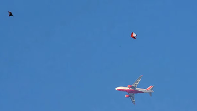סיבות לשיבושים של כמעט 40 טיסות בשדות התעופה נוי באי וקאט בי.