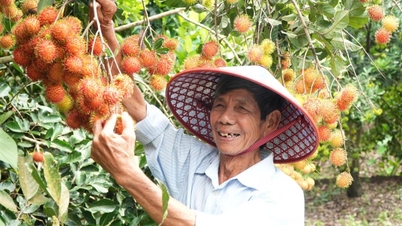 Previously just waiting for traders, farmers in Dong Nai are now earning money in a new way through tourism focusing on specialty fruit orchards.
