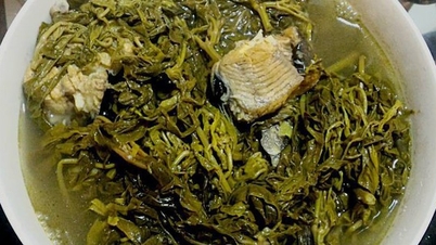 キャッサバの葉 ― 素朴で栄養価の高い料理の食材、そして調理に関する重要な注意点。