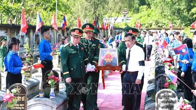 Initial results of the 500-day campaign to search for, collect, and identify the remains of fallen soldiers.