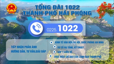 Văn phòng UBND thành phố thành lập Tổ tiếp nhận, xử lý phản ánh, kiến nghị qua Tổng đài 1022