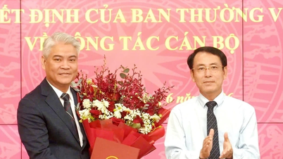 Henkilöstön rekrytointi, siirrot ja nimittäminen Hanoissa, Ho Chi Minh Cityssä ja kolmessa maakunnassa.