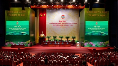 Agribank đồng hành cùng Đại hội đại biểu toàn quốc Hội Nông dân Việt Nam lần thứ IX, nhiệm kỳ 2026-2031
