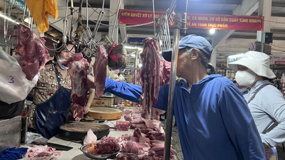 Ho Chi Minh City: Introduktion af svinekød med et 'ansvarlighedsmærke' på traditionelle markeder.